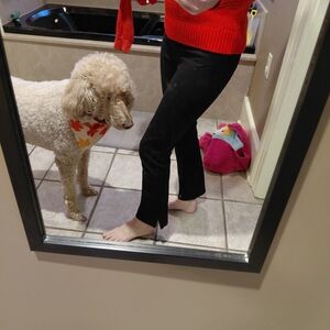 Quince Black Kick Flare Pants Xs